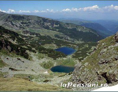 Vila Rocky - accommodation in  Hateg Country, Transalpina (Surrounding)