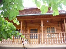 Pensiunea Ulpia Traiana - accommodation in  Hateg Country (01)