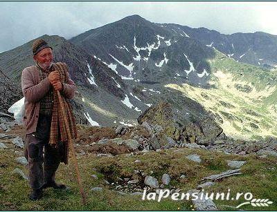 Cabana Cerbul - alloggio in  Tara Hategului, Transalpina (Attivit&agrave; e i dintorni)