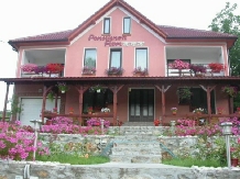 Pensiunea Flori - accommodation in  Hateg Country (01)