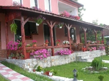 Pensiunea Flori - accommodation in  Hateg Country (04)