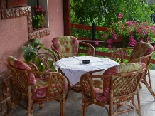 Pensiunea Flori - accommodation in  Hateg Country (06)