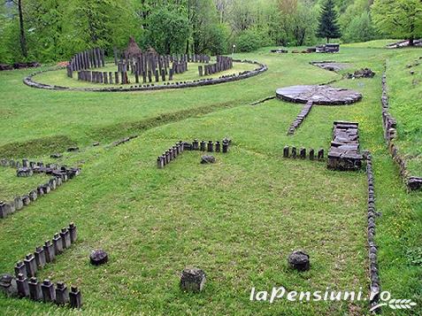 Pensiunea Cotiso - accommodation in  Hateg Country (Surrounding)