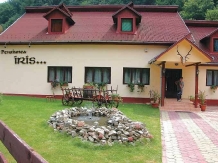 Pensiunea Iris - accommodation in  Hateg Country (01)