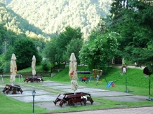 Pensiunea Iris - accommodation in  Hateg Country (07)