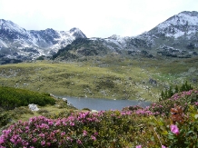 Cabana Albinel - alloggio in  Tara Hategului (23)