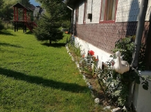 Pensiunea Tano - accommodation in  Rucar - Bran, Moeciu, Bran (21)