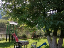 Pensiunea Tano - accommodation in  Rucar - Bran, Moeciu, Bran (25)