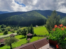 Conacul Boieresc - accommodation in  Rucar - Bran, Moeciu, Bran (13)