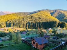 Conacul Boieresc - accommodation in  Rucar - Bran, Moeciu, Bran (35)