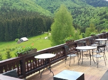 Conacul Boieresc - accommodation in  Rucar - Bran, Moeciu, Bran (57)