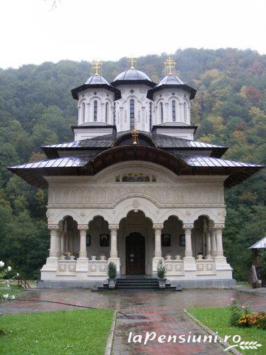 Pensiunea Alexia - alloggio in  Tara Hategului, Transalpina (Attivit&agrave; e i dintorni)