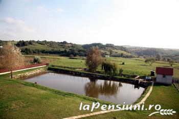 Pensiunea Alexia - cazare Crisana (Activitati si imprejurimi) Pensiunea Alexia - cazare Crisana (Activitati si imprejurimi)
