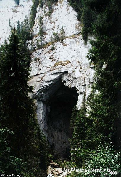 Pensiunea Alexia - cazare Crisana (Activitati si imprejurimi) Pensiunea Alexia - cazare Crisana (Activitati si imprejurimi)