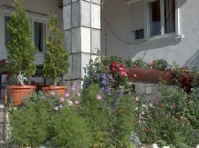 Pensiunea Traian - accommodation in  Rucar - Bran, Moeciu, Bran (17)