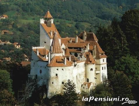 Pensiunea Ama - accommodation in Rucar - Bran, Moeciu, Bran (Surrounding) Pensiunea Ama - accommodation in Rucar - Bran, Moeciu, Bran (Surrounding)