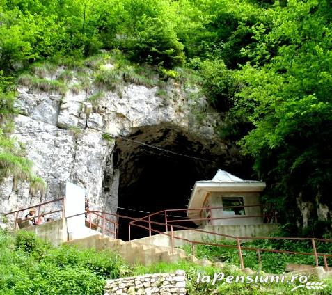 Pensiunea Ama - accommodation in Rucar - Bran, Moeciu, Bran (Surrounding) Pensiunea Ama - accommodation in Rucar - Bran, Moeciu, Bran (Surrounding)