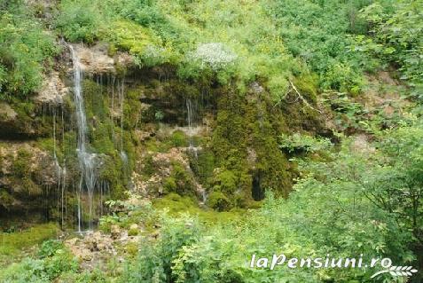 Pensiunea Fundatica - accommodation in  Rucar - Bran, Moeciu (Surrounding)