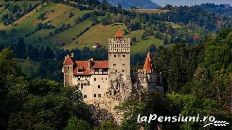 Pensiunea Roma Antica - alloggio in  Vallata di Brasov (Attivit&agrave; e i dintorni)