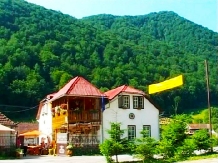 Pensiunea Valea Izvorului - accommodation in  Apuseni Mountains (01)