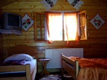 Pensiunea Valea Izvorului - accommodation in  Apuseni Mountains (02)