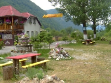 Pensiunea Valea Izvorului - accommodation in  Apuseni Mountains (04)