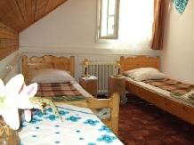 Pensiunea Valea Izvorului - accommodation in  Apuseni Mountains (10)