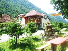 Pensiunea Valea Izvorului - accommodation in  Apuseni Mountains (15)