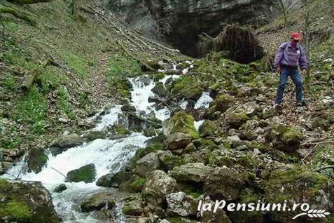 Pensiunea Valea Izvorului - alloggio in  Apuseni (Attivit&agrave; e i dintorni)