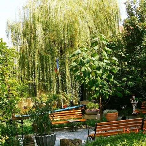 Pensiunea Mioara - cazare Litoral (Activitati si imprejurimi) Pensiunea Mioara - cazare Litoral (Activitati si imprejurimi)
