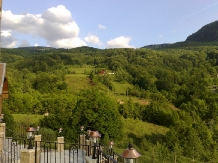 Pensiunea Dolvas - accommodation in  Apuseni Mountains (14)