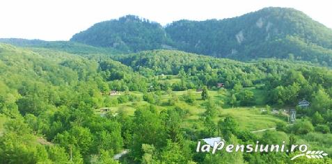 Pensiunea Dolvas - alloggio in  Apuseni (Attivit&agrave; e i dintorni)