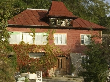 Pensiunea Tata Lice - accommodation in  Buzau Valley (01)