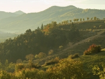 Pensiunea Tata Lice - alloggio in  Valea Buzaului (21)