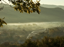 Pensiunea Tata Lice - accommodation in  Buzau Valley (24)