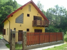 Casa de vacanta Maer - accommodation in  Hateg Country (01)