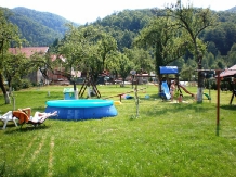Pensiunea Florina - accommodation in  Hateg Country (04)