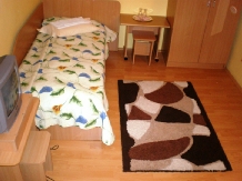 Pensiunea Florina - accommodation in  Hateg Country (06)