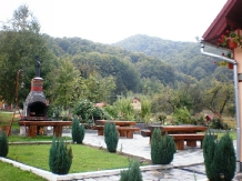 Pensiunea Florina - accommodation in  Hateg Country (08)