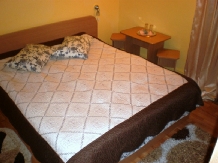 Pensiunea Florina - accommodation in  Hateg Country (10)