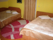 Pensiunea Florina - accommodation in  Hateg Country (11)