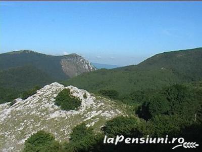 Pensiunea Florina - accommodation in  Hateg Country (Surrounding)