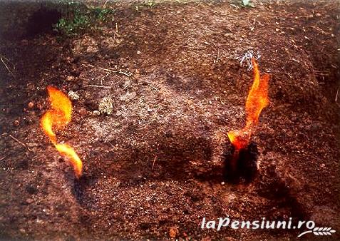 Pensiunea La Butoaie - alloggio in  Valea Buzaului (Attivit&agrave; e i dintorni)