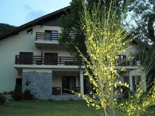 Pensiunea Mili - accommodation in  Hateg Country (10)