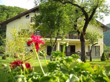 Pensiunea Mili - accommodation in  Hateg Country (11)