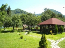 Pensiunea Mili - accommodation in  Hateg Country (16)