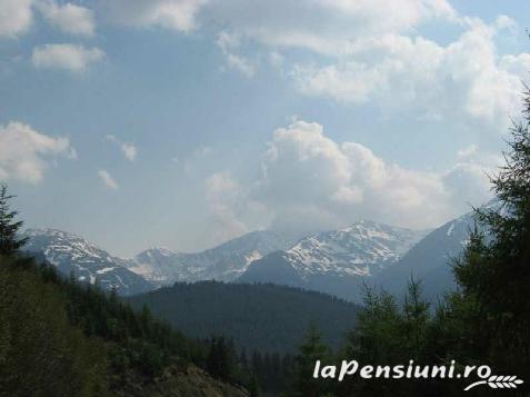 Pensiunea Mili - accommodation in  Hateg Country (Surrounding)