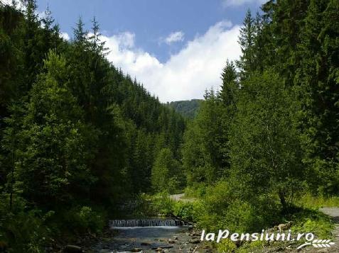 Pensiunea Mili - accommodation in  Hateg Country (Surrounding)