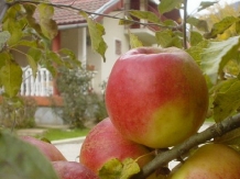 Casa cu Meri - alloggio in  Tara Hategului (09)