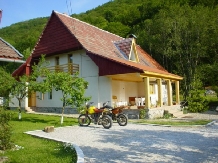 Casa cu Meri - accommodation in  Hateg Country (16)